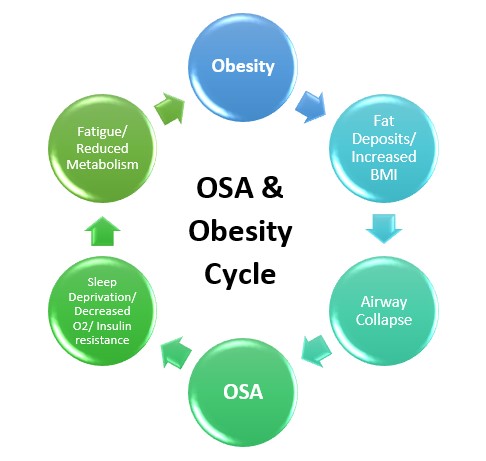 Recognizing the OSA and Obesity Cycle - Millennium Sleep Lab